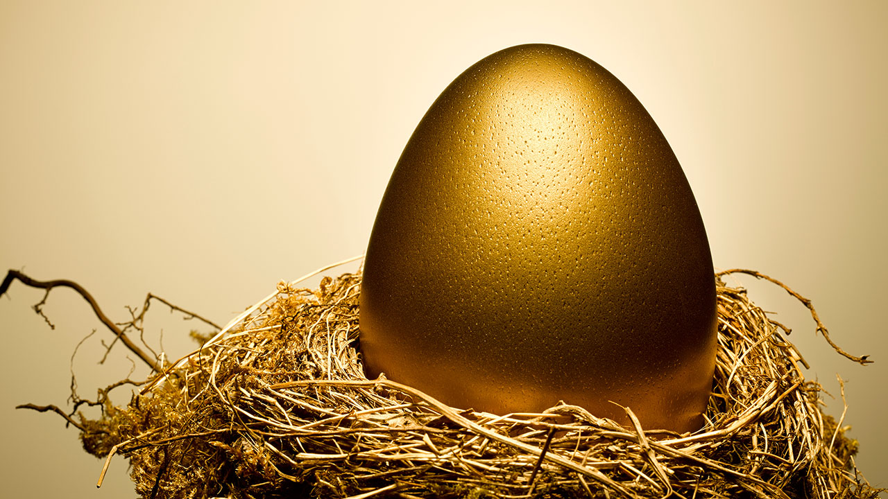 Graphic denoting a nest egg