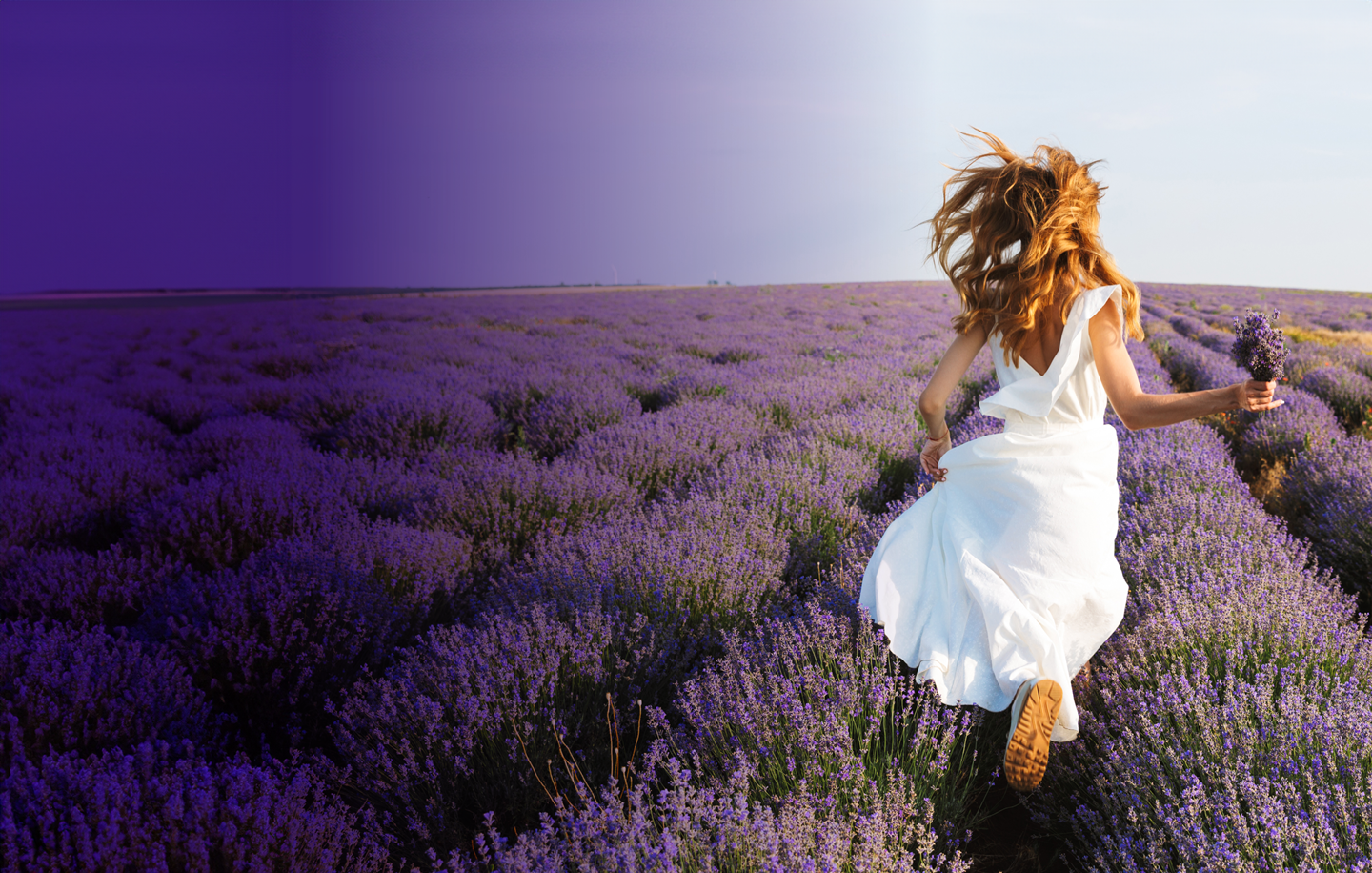 Woman running through a lavender field